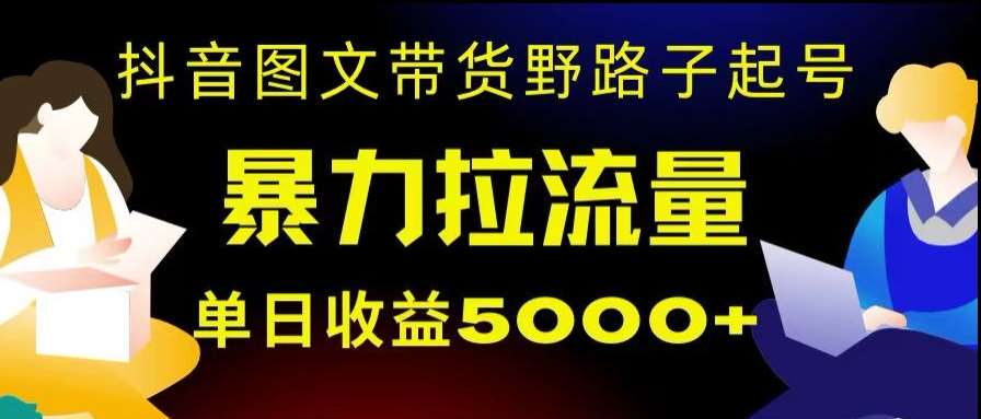 抖音图文带货暴力起号，单日收益5000+，野路子玩法，简单易上手，一部手机即可【揭秘】-赛德副业库