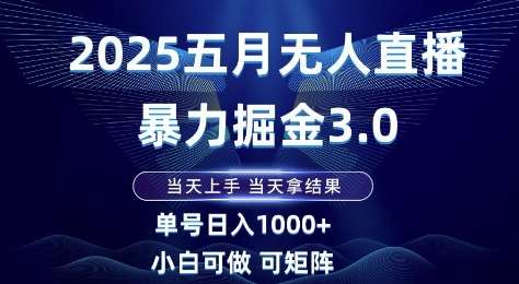2025五月无人直播暴力掘金3.0，当天上手，当天拿结果，单号日入1k+小白可做可矩阵【揭秘】-赛德副业库