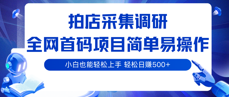 拍店采集调研,全网首码项目,简单易操作, 小白也能轻松上手,轻松日赚500+-赛德副业库
