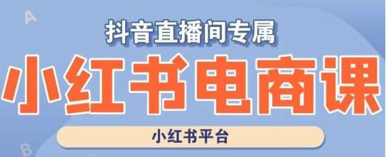 小红书电商高级运营课程，实操教学+案例分析-赛德副业库