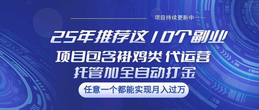 25年推荐这10个副业 项目包含褂鸡类、代运营托管类、全自动打金类-赛德副业库