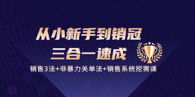 （10799期）从小新手到销冠 三合一速成：销售3法+非暴力关单法+销售系统挖需课 (27节)-赛德副业库