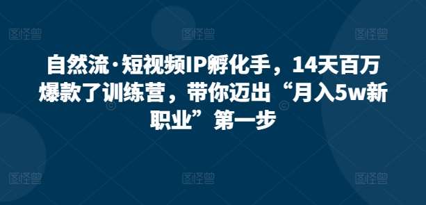 自然流·短视频IP孵化手，14天百万爆款了训练营，带你迈出“月入5w新职业”第一步-赛德副业库