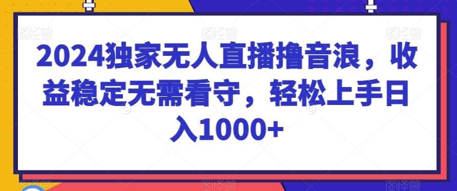 2024独家无人直播撸音浪，收益稳定无需看守，轻松上手日入1000+【揭秘】-赛德副业库