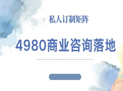 4980商业咨询师落地课程-ip运营高客单教程-赛德副业库