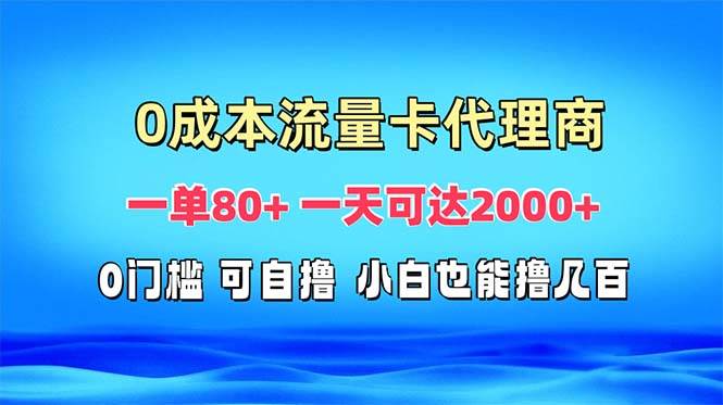（13391期）免费流量卡代理一单80+ 一天可达2000+-赛德副业库