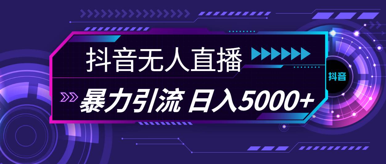 （11709期）抖音无人直播，暴利引流，日入5000+-赛德副业库