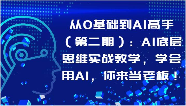 从0基础到AI高手（第二期）：AI底层思维实战教学，学会用AI，你来当老板！-赛德副业库