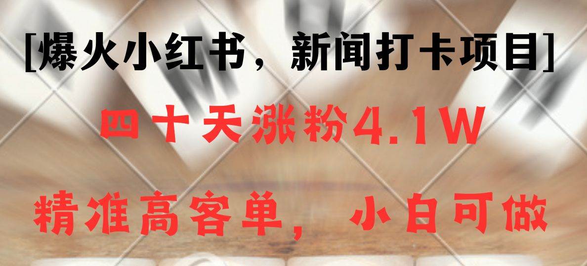 新闻打卡项目，小红书40天涨粉4.1w，高客单精准粉，变现能力超强-赛德副业库