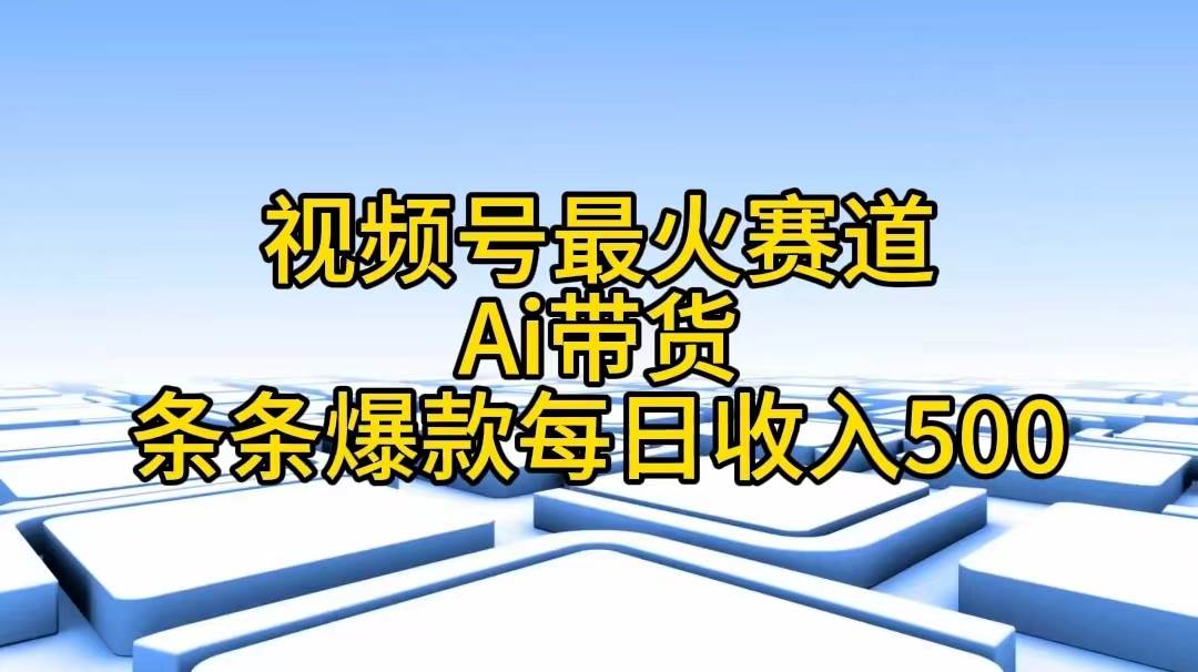 （11038期）视频号最火赛道——Ai带货条条爆款每日收入500-赛德副业库
