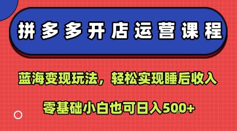 拼多多开店运营课程：蓝海变现玩法，轻松实现睡后收入，零基础小白也可日入5张-赛德副业库