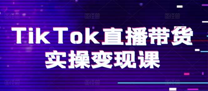 TikTok直播带货实操变现课：系统起号、科学复盘、变现链路、直播配置、小店操作流程、团队搭建等。-赛德副业库