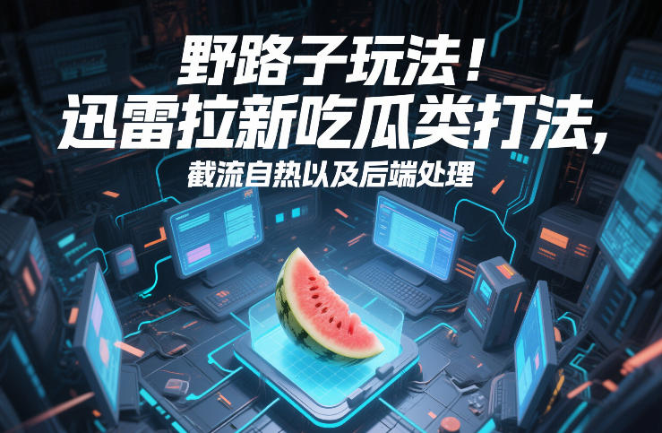野路子玩法！迅雷拉新吃瓜类打法，截流自热以及后端处理-赛德副业库
