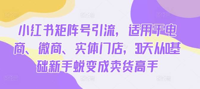 小红书矩阵号引流，适用于电商、微商、实体门店，30天从0基础新手蜕变成卖货高手-赛德副业库