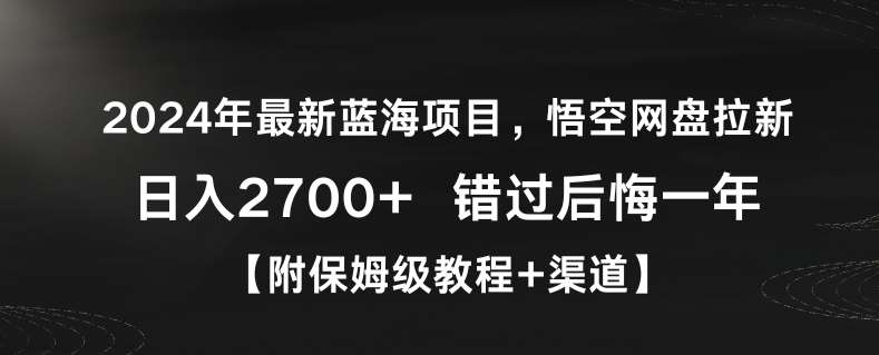 2024年最新蓝海项目，悟空网盘拉新，日入2700+错过后悔一年【附保姆级教程+渠道】【揭秘】-赛德副业库