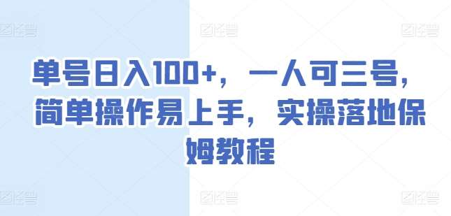 单号日入100+，一人可三号，简单操作易上手，实操落地保姆教程【揭秘】-赛德副业库