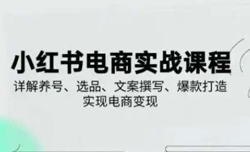 小红书从0-1实操课(2023-2025),详解养号、选品、文案撰写、爆款打造实现电商变现-赛德副业库