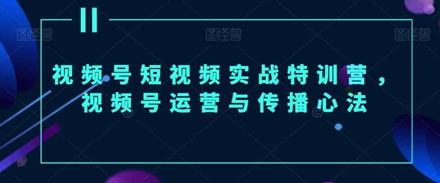 视频号短视频实战特训营,视频号运营与传播心法-赛德副业库