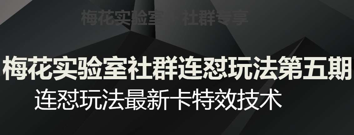 梅花实验室社群连怼玩法第五期，视频号连怼玩法最新卡特效技术-赛德副业库