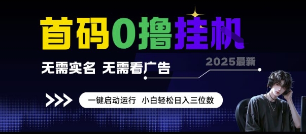 首码0撸挂G项目，无需实名无需看广告 一键启动运行，小白轻松日入三位数【揭秘】-赛德副业库