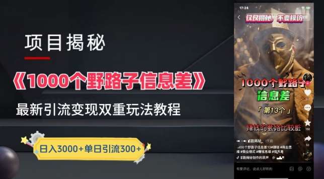 一千个野路子信息差最新玩法教程-变现+引流的玩法具体拆解【揭秘】-赛德副业库