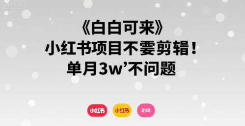小白可来 小红书项目不需要剪辑 单月3w不是问题-赛德副业库