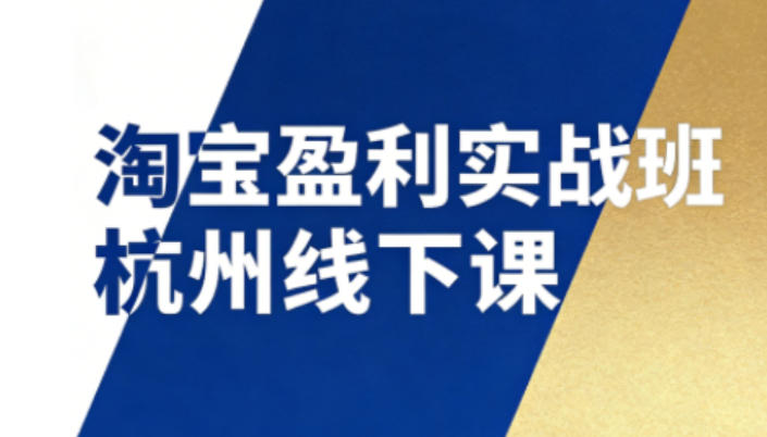 淘宝盈利实战班杭州线下课12月26-28日（音频+字幕），帮你掌握SOP流程+12门核心技术-赛德副业库