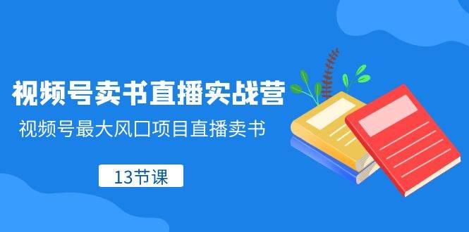（8080期）视频号-卖书直播实战营，视频号最大风囗项目直播卖书（13节课）-赛德副业库