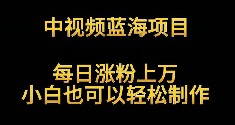 中视频蓝海项目，解读英雄人物生平，每日涨粉上万，小白也可以轻松制作，月入过万不是梦【揭秘】-赛德副业库