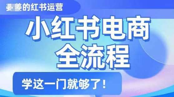 小红书电商全流程,精简易懂,从入门到精通,学这一门就够了-赛德副业库