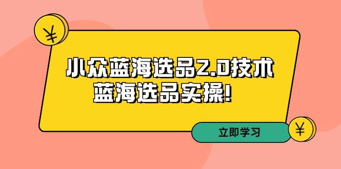 （9189期）拼多多培训第33期：小众蓝海选品2.0技术-蓝海选品实操！-赛德副业库