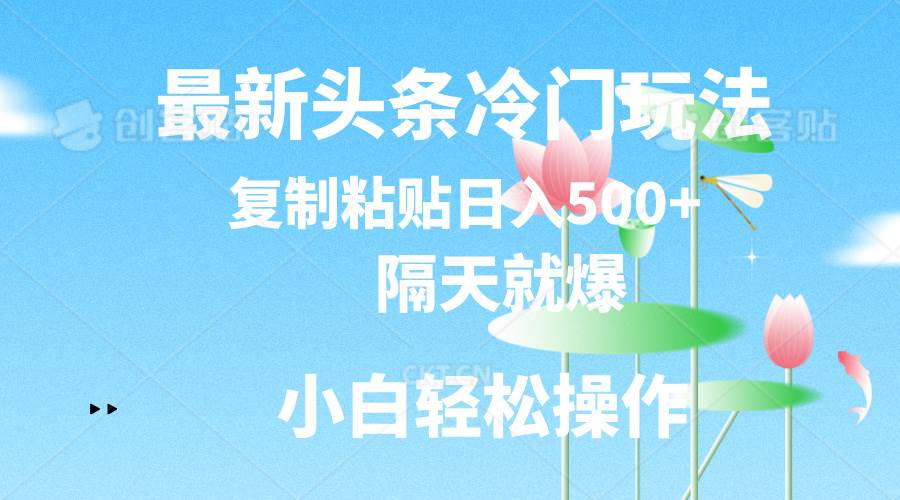 （11414期）最新头条冷门玩法，隔天就爆，复制粘贴日入500+-赛德副业库