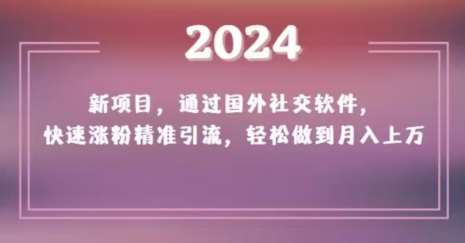 2024新项目，通过国外社交软件，快速涨粉精准引流，轻松做到月入上万【揭秘】-赛德副业库