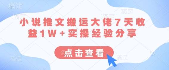 小说推文搬运大佬7天收益1W+实操经验分享-赛德副业库