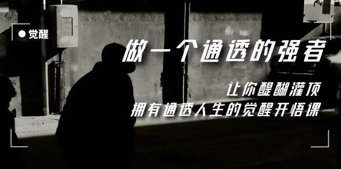 （7696期）觉醒-做一个通透强者，让你醍醐灌顶，拥有通透人生，掌握强大的秘密-赛德副业库