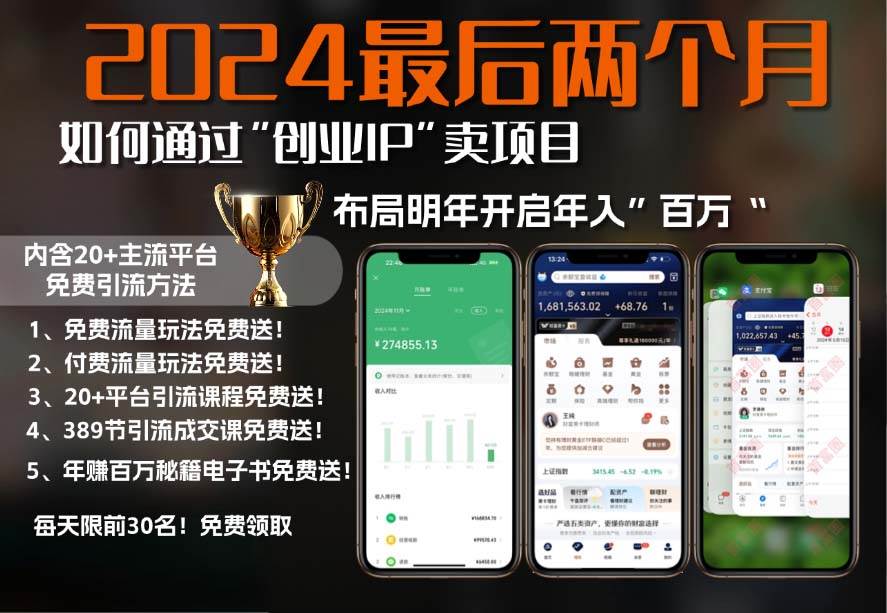 （13322期）2024最后两个月如何通过”创业IP“卖项目年入”百万“,创业IP+最强引流…-赛德副业库