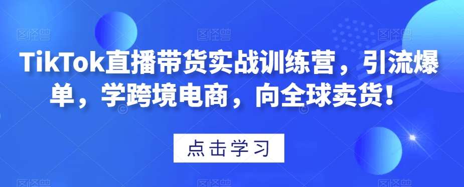 TikTok直播带货实战训练营，引流爆单，学跨境电商，向全球卖货！-赛德副业库