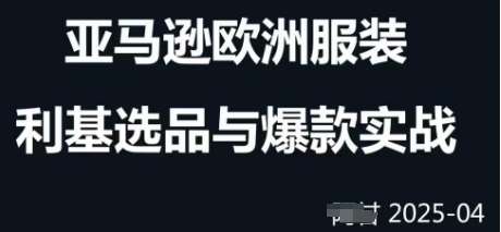 跨境电商选品案例24-25年,聚焦跨境电商选品策略与运营优化,助力卖家挖掘蓝海市场-赛德副业库