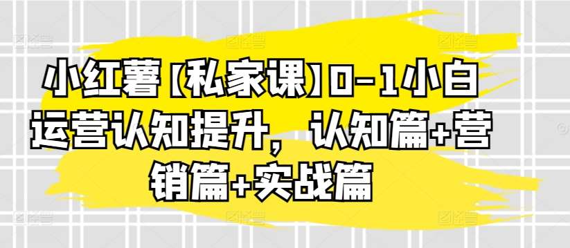 小红薯【私家课】0-1小白运营认知提升，认知篇+营销篇+实战篇-赛德副业库