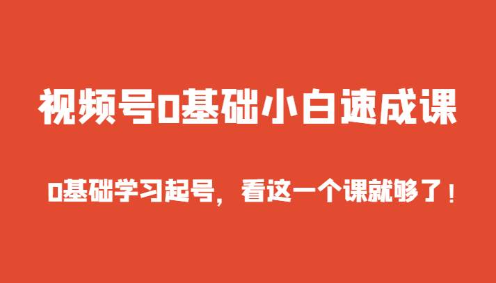 视频号0基础小白速成课，0基础学习起号，看这一个课就够了！-赛德副业库