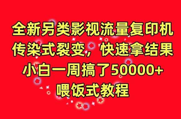 全新另类影视流量复印机，传染式裂变，快速拿结果，小白一周搞了50000+，喂饭式教程【揭秘】-赛德副业库