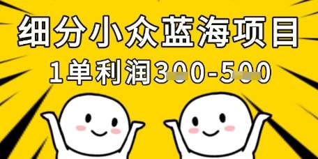 细分小众蓝海项目，一单利润3张，每月收入稳定过1w+-赛德副业库