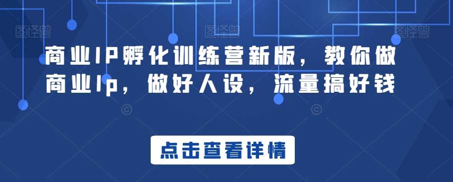 商业IP孵化训练营新版,教你做商业Ip,做好人设,流量搞好钱-赛德副业库