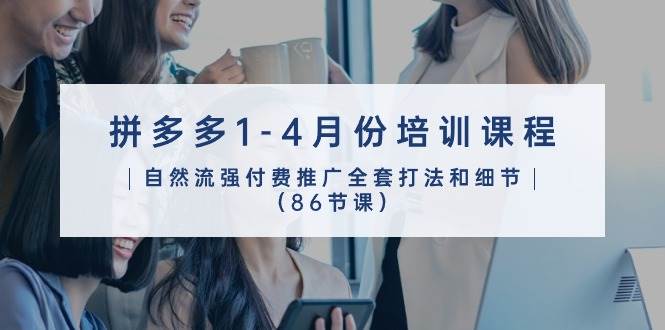 (10495期)拼多多1-4月份培训课程,自然流强付费推广全套打法和细节(86节课)-赛德副业库