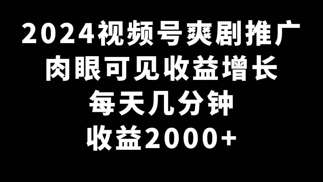 (9028期)2024视频号爽剧推广,肉眼可见的收益增长,每天几分钟收益2000+-赛德副业库