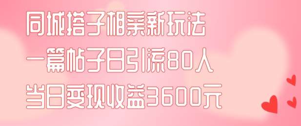同城搭子相亲新玩法一篇帖子引流80人当日变现3600元(项目教程+实操教程)【揭秘】-赛德副业库