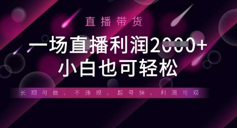 半无人直播带货,一场利润数张,适合所有平台玩法,小白也可轻松-赛德副业库