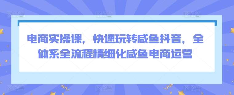 电商实操课，快速玩转咸鱼抖音，全体系全流程精细化咸鱼电商运营-赛德副业库