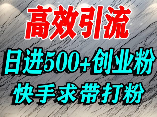 怎么打创业粉?快手求带视角精准引流创业粉,宝妈、学生群体日进500+精准流量-赛德副业库