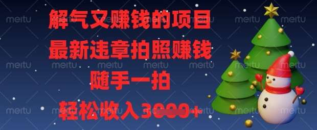 解气又挣钱的项目,最新违章拍照挣钱,随手一拍,轻松收入数张【揭秘】-赛德副业库